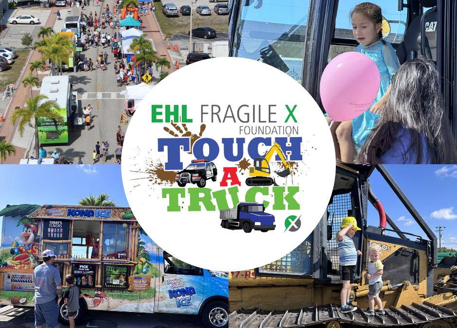 Touch A Truck